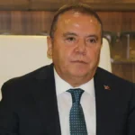 Muhittin Böcek
